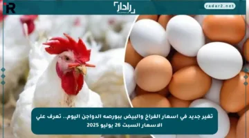 تغير جديد في أسعار الفراخ والبيض ببورصة الدواجن اليوم.. تعرف على الأسعار السبت 26 يوليو 2025